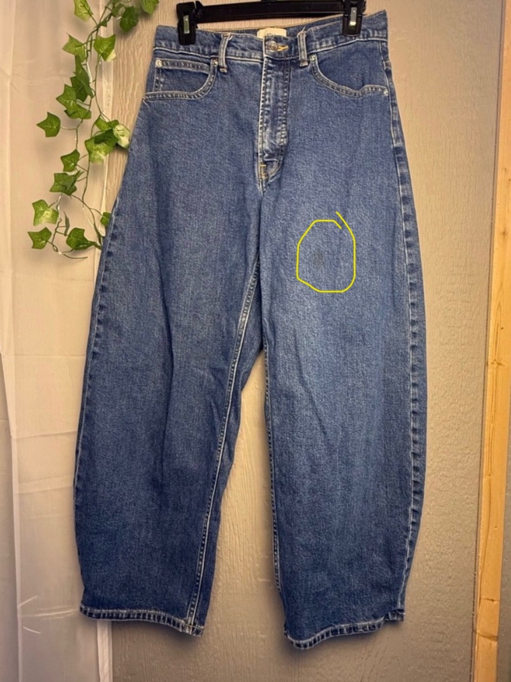 Everlane The Way-High Curve Jeans Organic Cotton Barrel Leg 28R *note faint spot - Picture 2 of 10